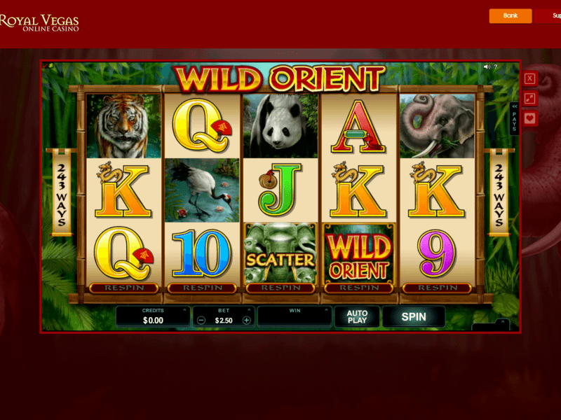 Slots Screenshot